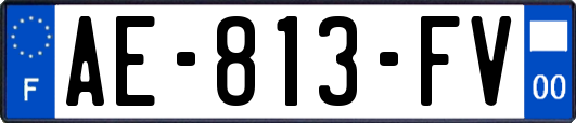 AE-813-FV