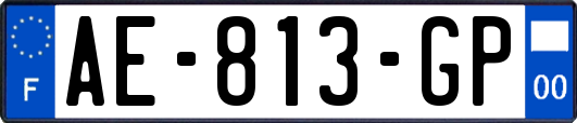 AE-813-GP