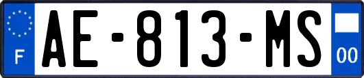 AE-813-MS