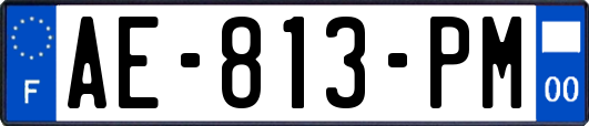 AE-813-PM