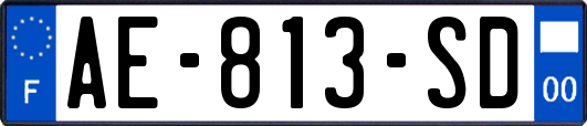 AE-813-SD