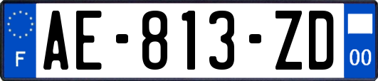 AE-813-ZD