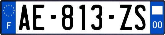 AE-813-ZS