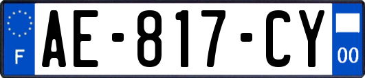 AE-817-CY