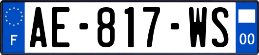 AE-817-WS