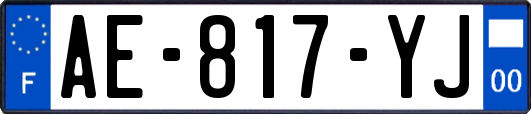 AE-817-YJ