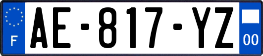 AE-817-YZ