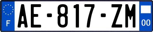 AE-817-ZM