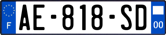 AE-818-SD