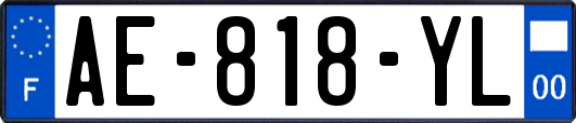 AE-818-YL