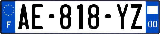 AE-818-YZ