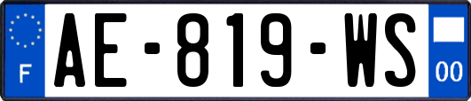 AE-819-WS