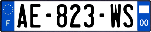 AE-823-WS