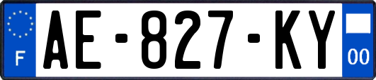 AE-827-KY