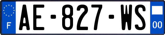 AE-827-WS