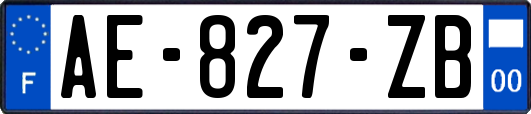 AE-827-ZB