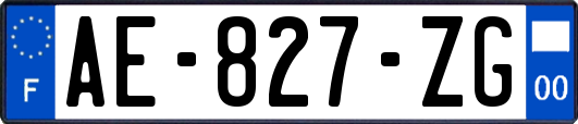 AE-827-ZG