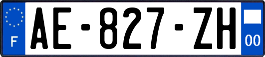 AE-827-ZH