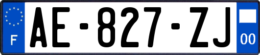 AE-827-ZJ