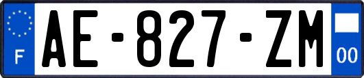 AE-827-ZM