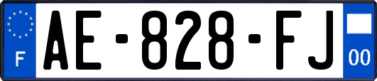 AE-828-FJ