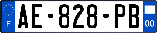 AE-828-PB