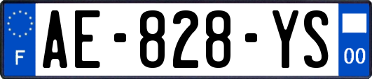 AE-828-YS