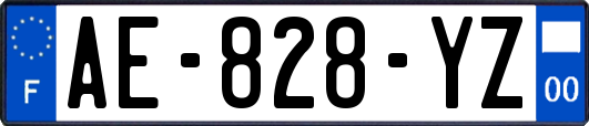 AE-828-YZ