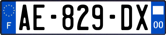 AE-829-DX