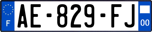 AE-829-FJ