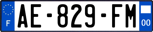 AE-829-FM