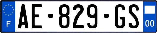 AE-829-GS