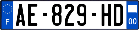 AE-829-HD