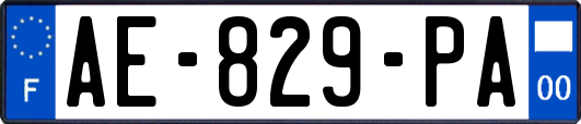 AE-829-PA