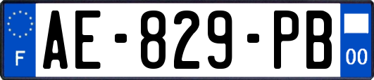 AE-829-PB