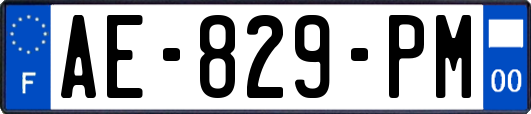 AE-829-PM