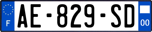 AE-829-SD