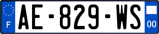 AE-829-WS