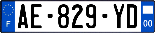 AE-829-YD