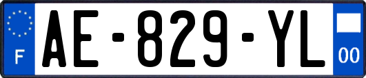 AE-829-YL