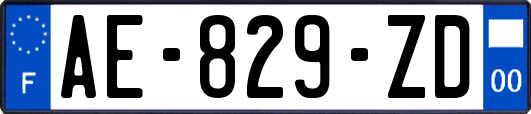 AE-829-ZD