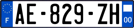 AE-829-ZH