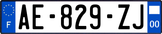 AE-829-ZJ