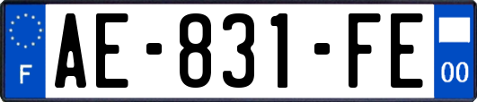 AE-831-FE
