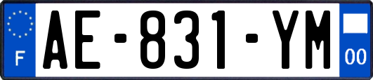 AE-831-YM