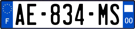 AE-834-MS