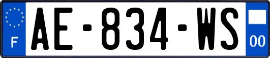AE-834-WS