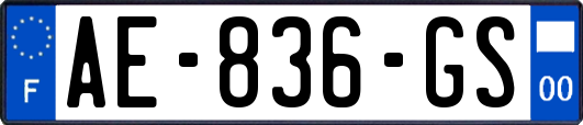 AE-836-GS