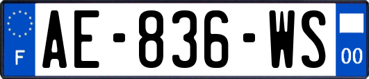 AE-836-WS