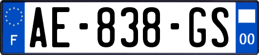 AE-838-GS